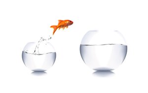 準格爾旗鄂托克旗紙類包裝有限責任公司