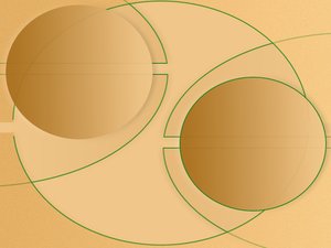 扎蘭屯市木材加工有限責任公司